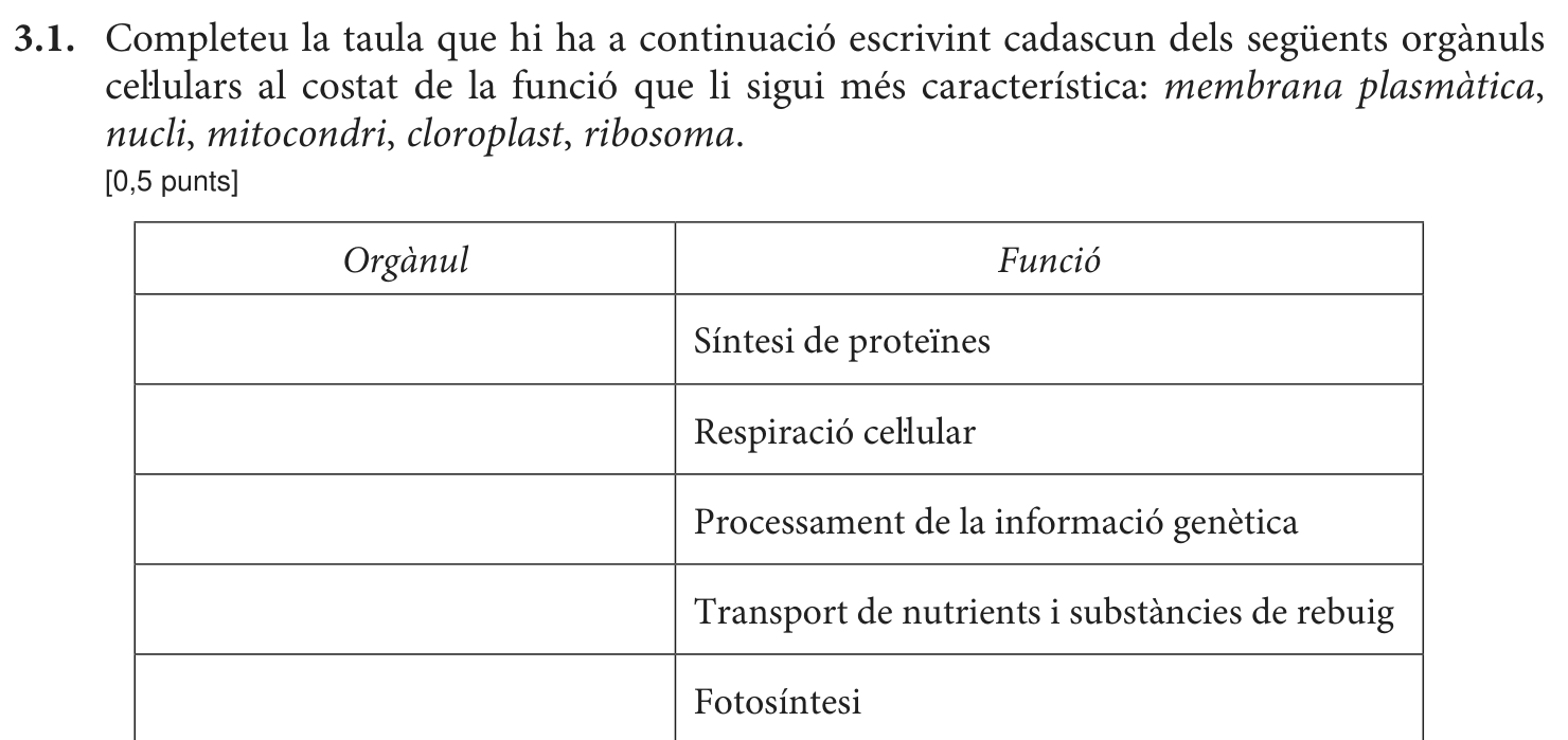 Enunciat · Apartat 3.1, part 1