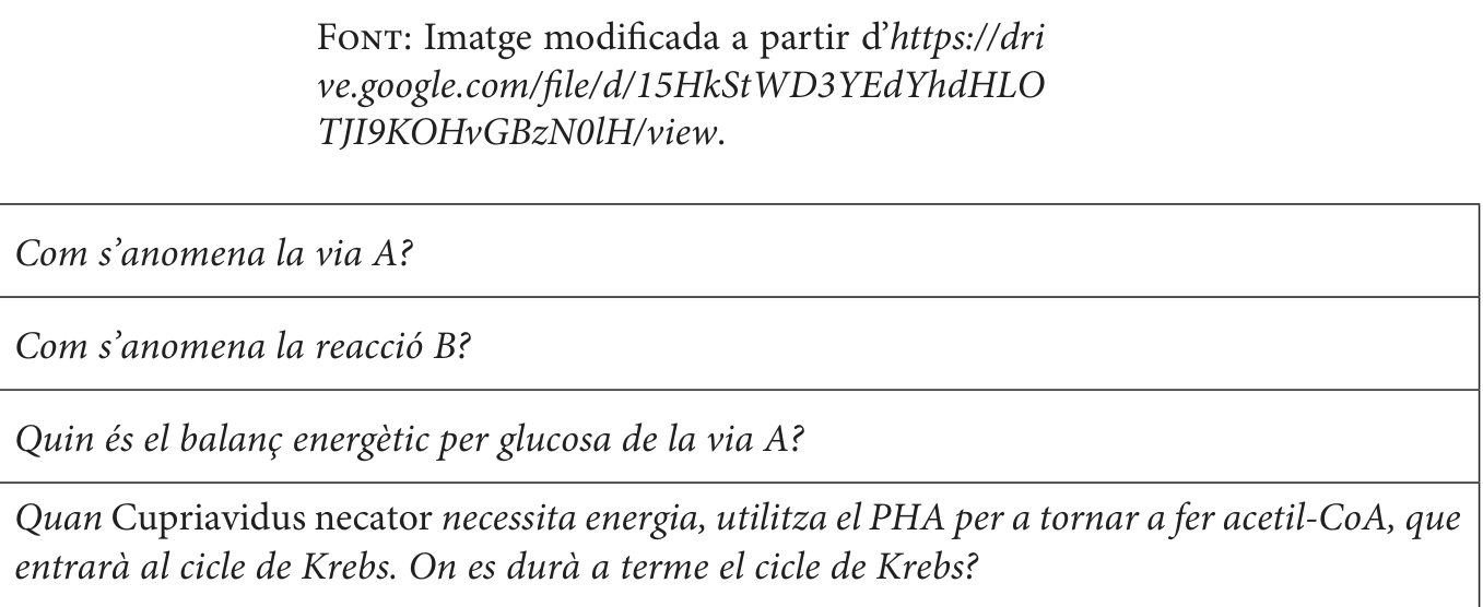 Enunciat · Apartat 3.4, part 2