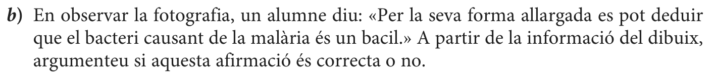 Enunciat, part 1