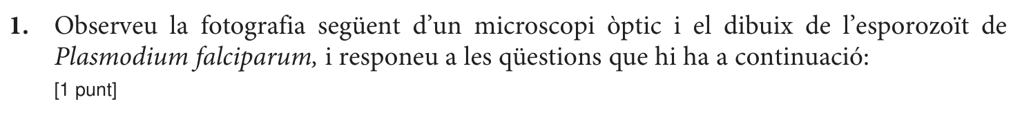 Enunciat comú, part 1