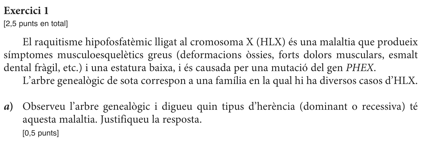 Enunciat · Exercici 1, part 1