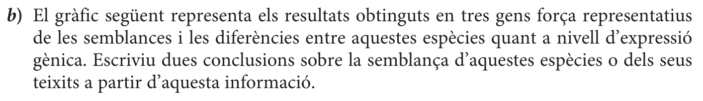 Enunciat · Apartat b), part 1