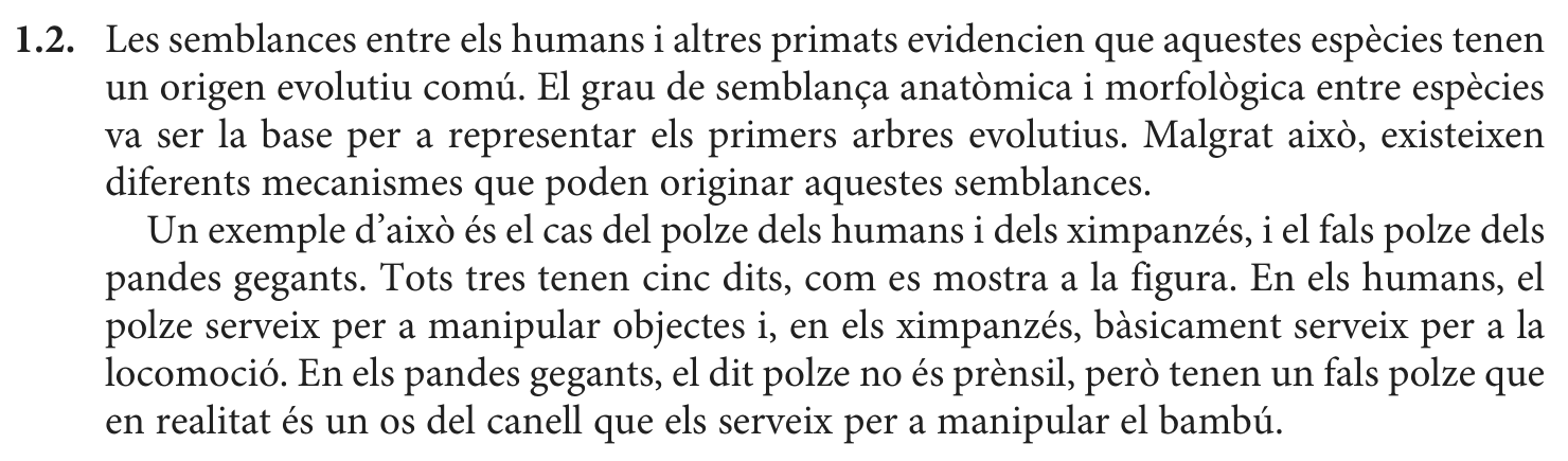 Enunciat · Apartat 1.2, part 1