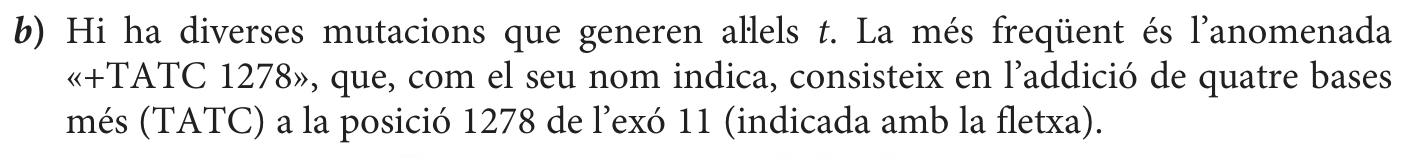 Enunciat · Apartat b), part 1
