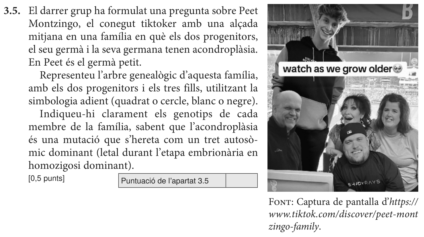 Enunciat · Apartat 3.5, part 1