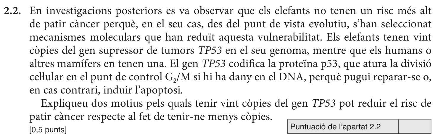 Enunciat, part 1