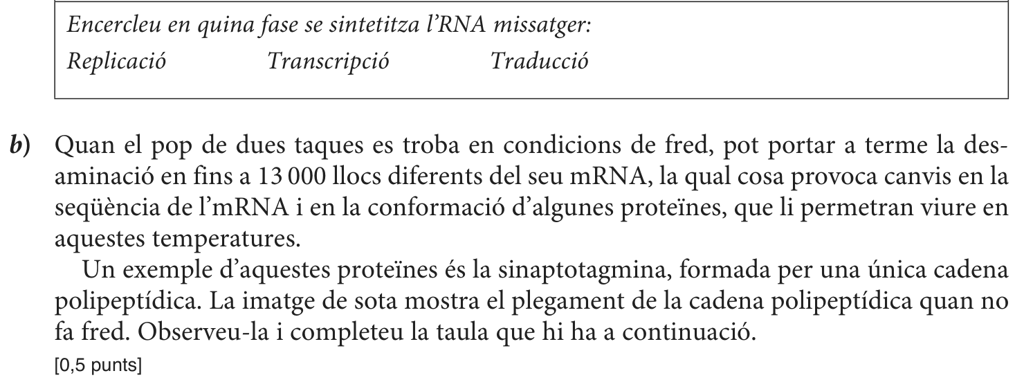 Enunciat, part 3