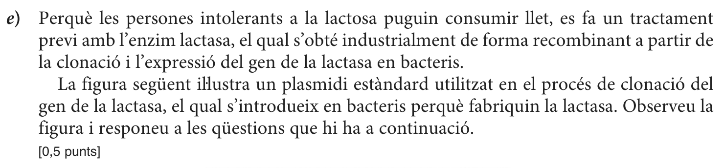 Enunciat · Exercici 1, part 12