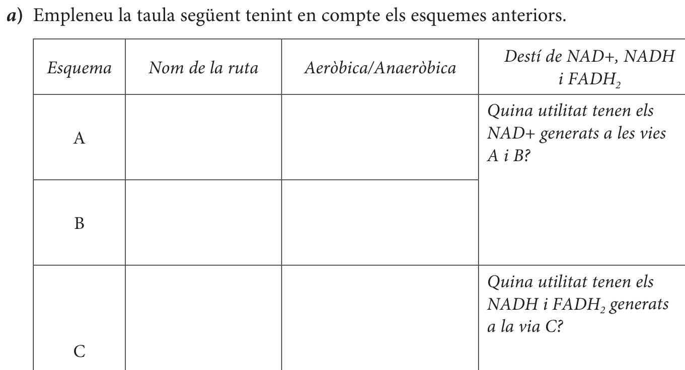 Enunciat, part 1