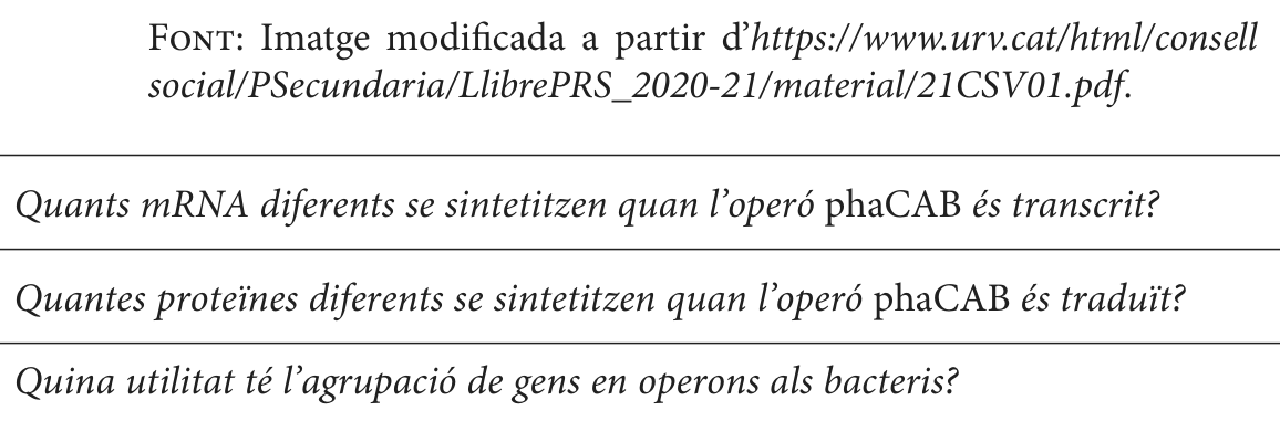 Enunciat · Apartat 3.5, part 2