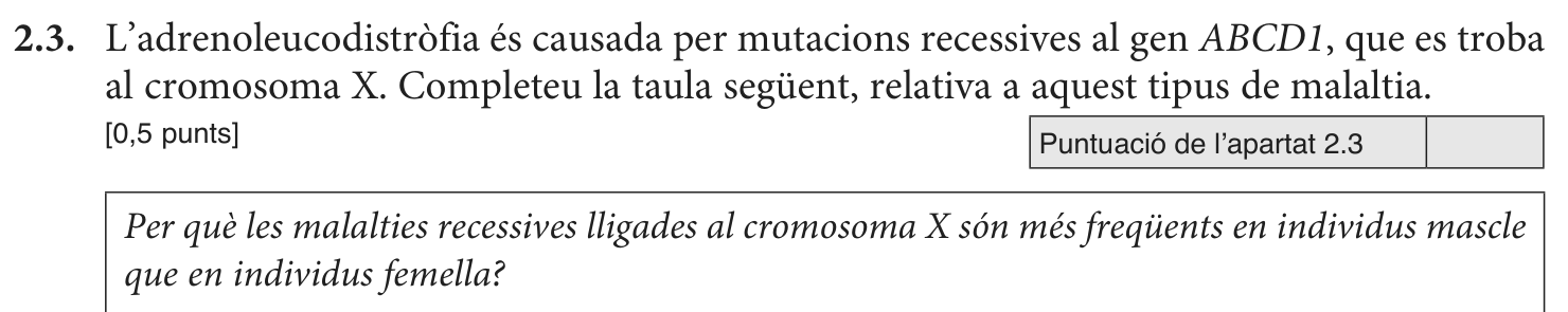 Enunciat · Apartat 2.3, part 1