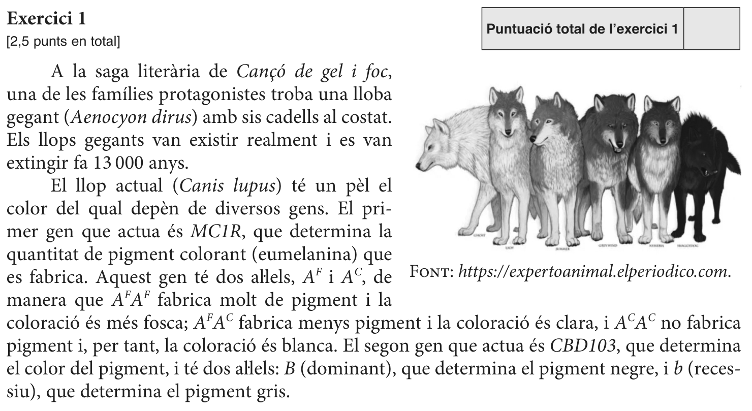 Enunciat comú, part 1
