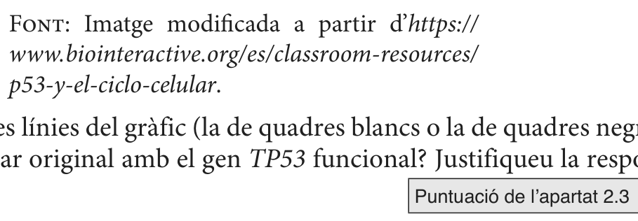 Enunciat · Apartat 2.3, part 2