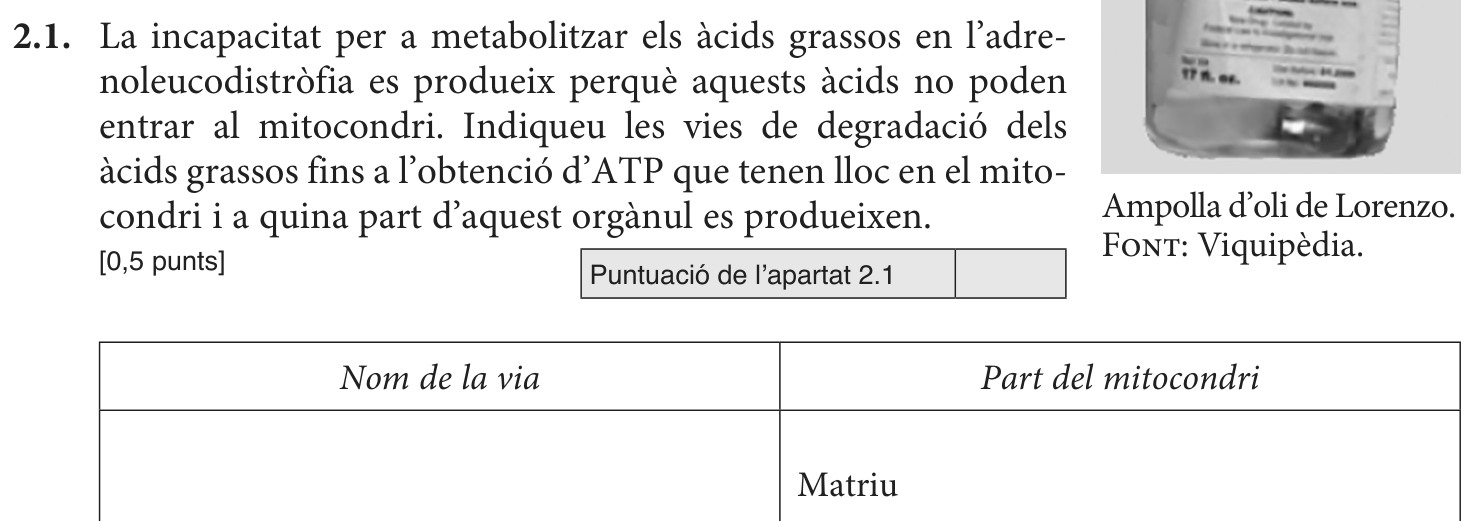 Enunciat · Apartat 2.1, part 1