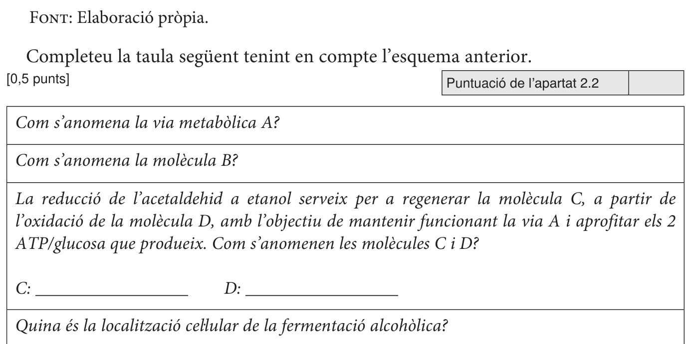 Enunciat · Apartat 2.2, part 2