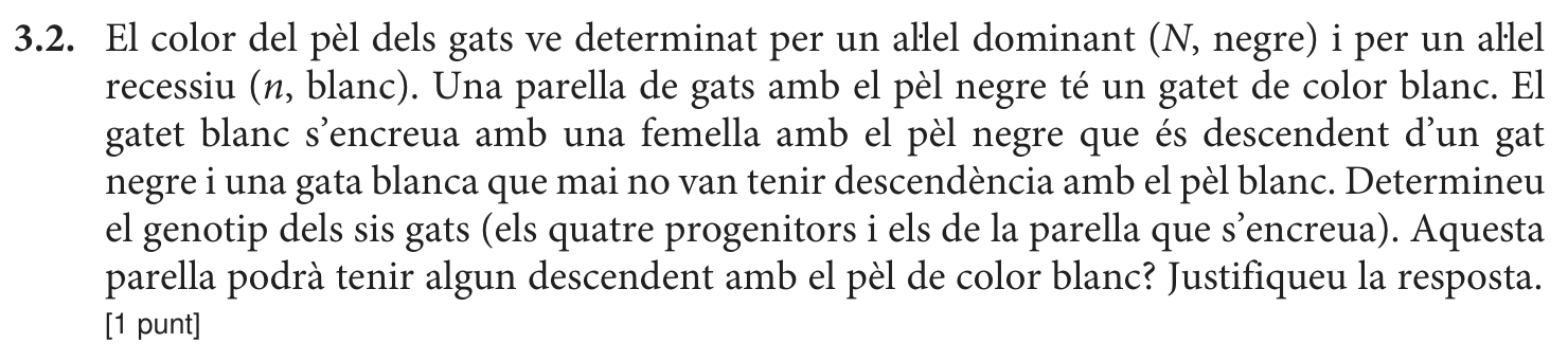 Enunciat · Apartat 3.2, part 1