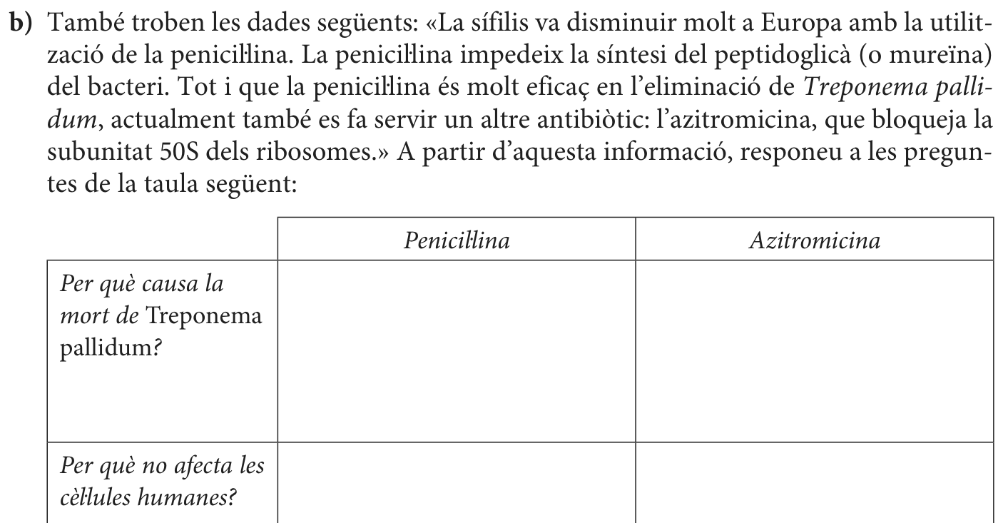 Enunciat · Apartat b), part 1