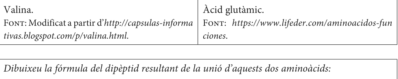 Enunciat · Exercici 3, part 10
