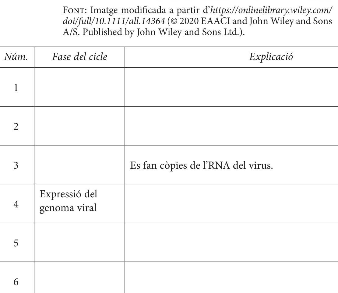 Enunciat, part 2