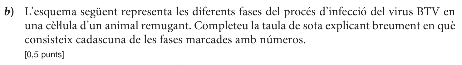 Enunciat, part 3