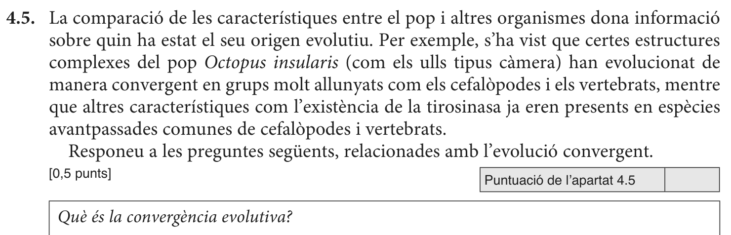 Enunciat · Apartat 4.5, part 1