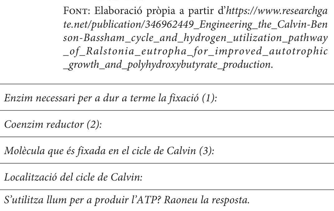 Enunciat · Apartat 3.3, part 2