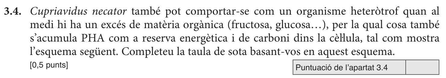 Enunciat · Apartat 3.4, part 1