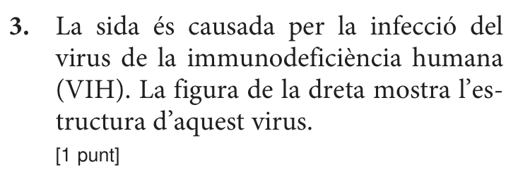 Enunciat, part 1