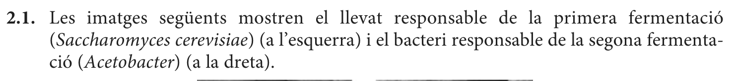 Enunciat · Apartat 2.1, part 1