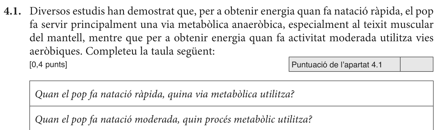 Enunciat · Apartat 4.1, part 1