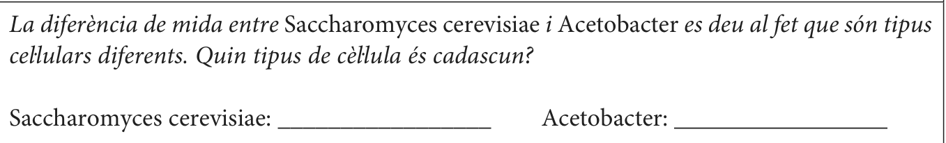 Enunciat · Apartat 2.1, part 4