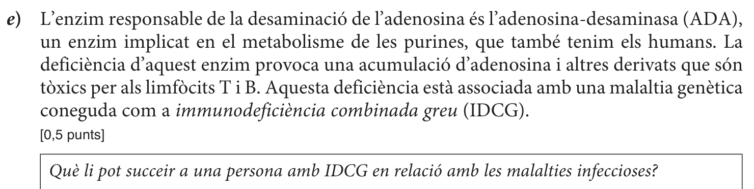 Enunciat, part 9