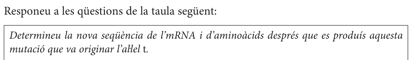 Enunciat · Apartat b), part 2