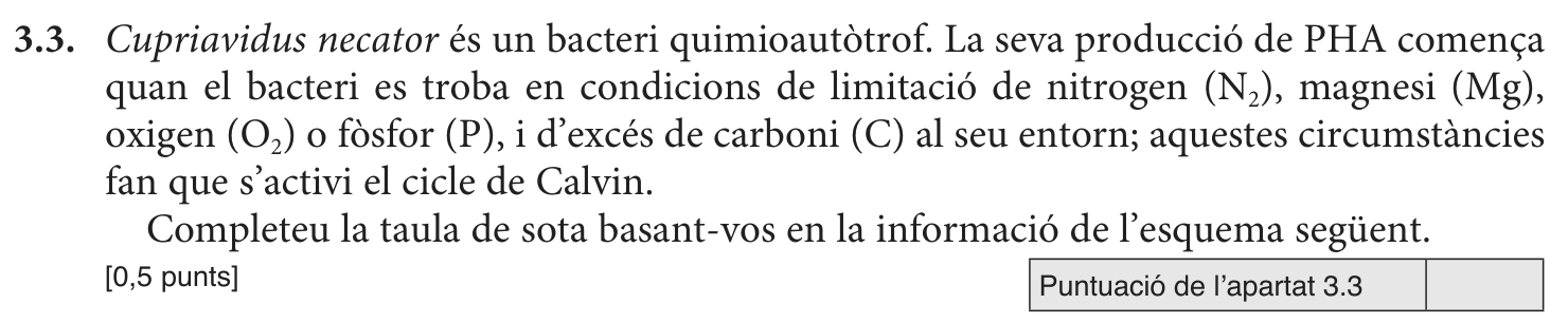 Enunciat · Apartat 3.3, part 1
