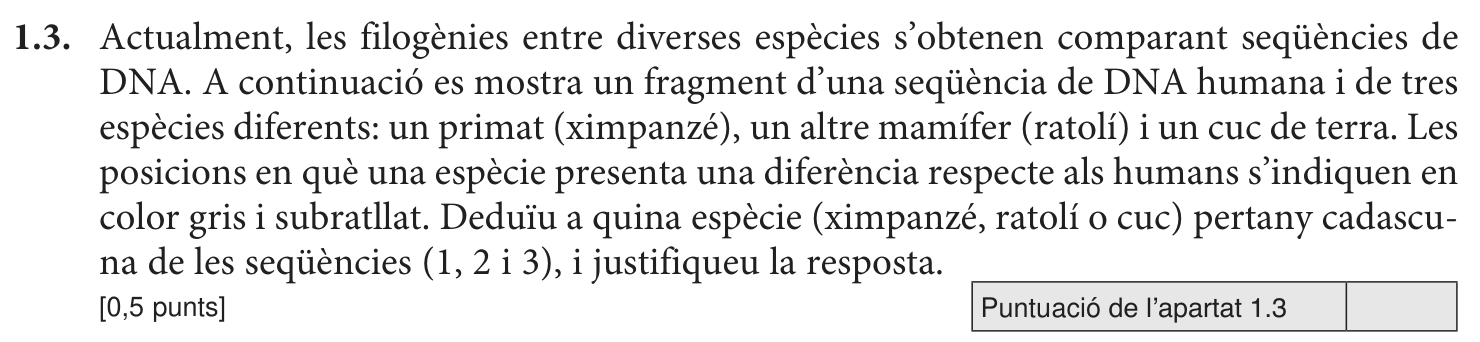 Enunciat · Apartat 1.3, part 1