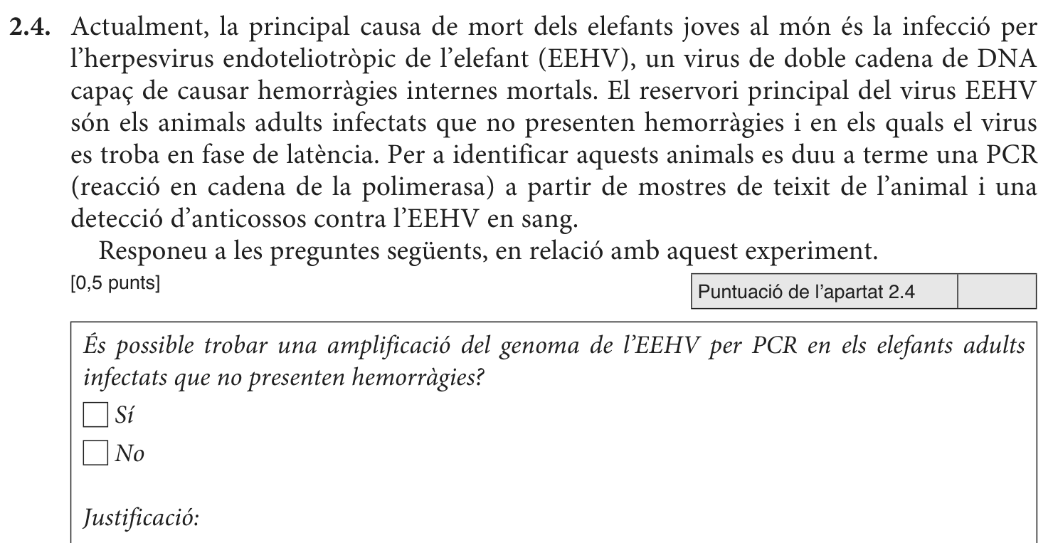 Enunciat · Apartat 2.4, part 1