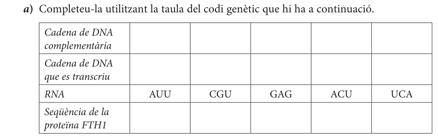 Enunciat · Apartat a), part 1