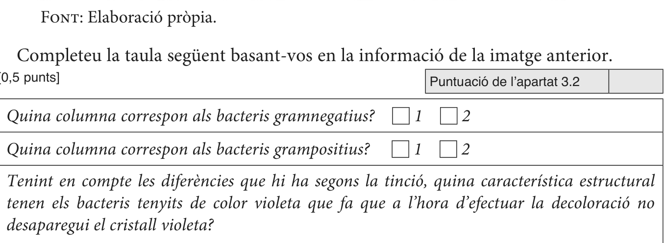 Enunciat · Apartat 3.2, part 2