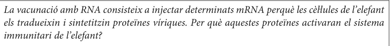 Enunciat · Apartat 2.5, part 2