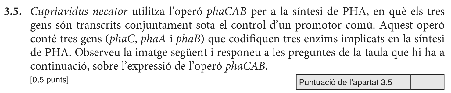 Enunciat · Apartat 3.5, part 1