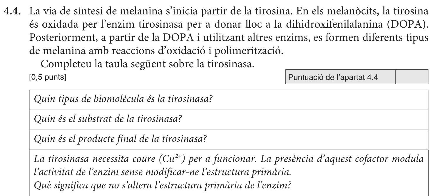 Enunciat · Apartat 4.4, part 1