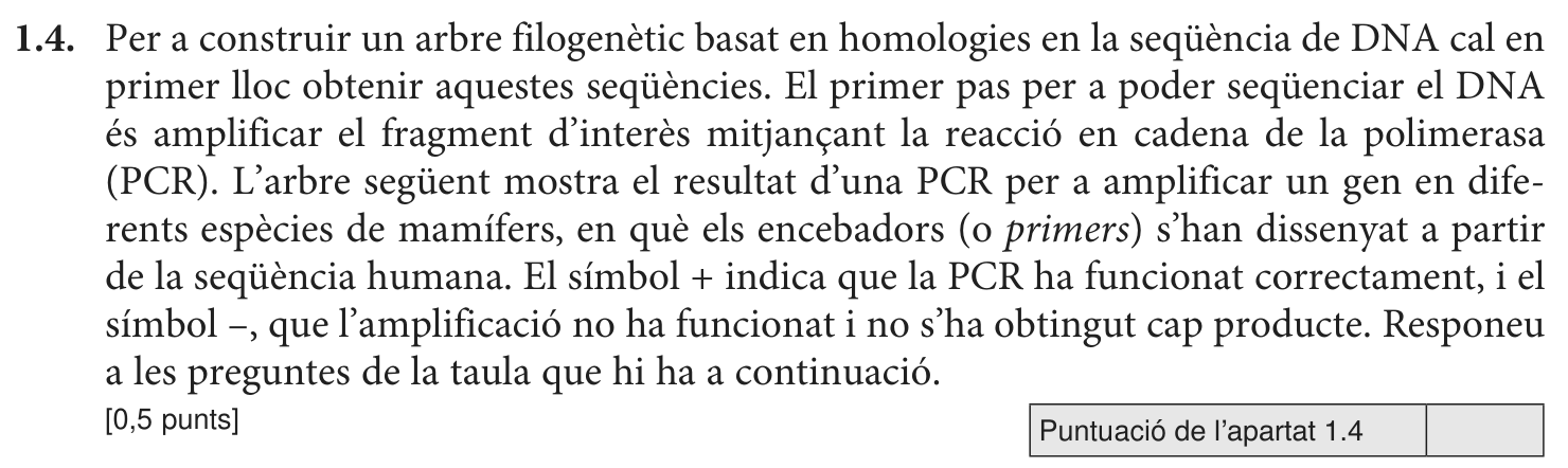 Enunciat · Apartat 1.4, part 1