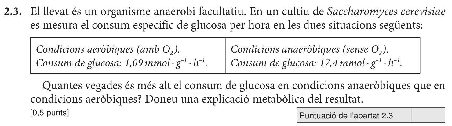 Enunciat · Apartat 2.3, part 1