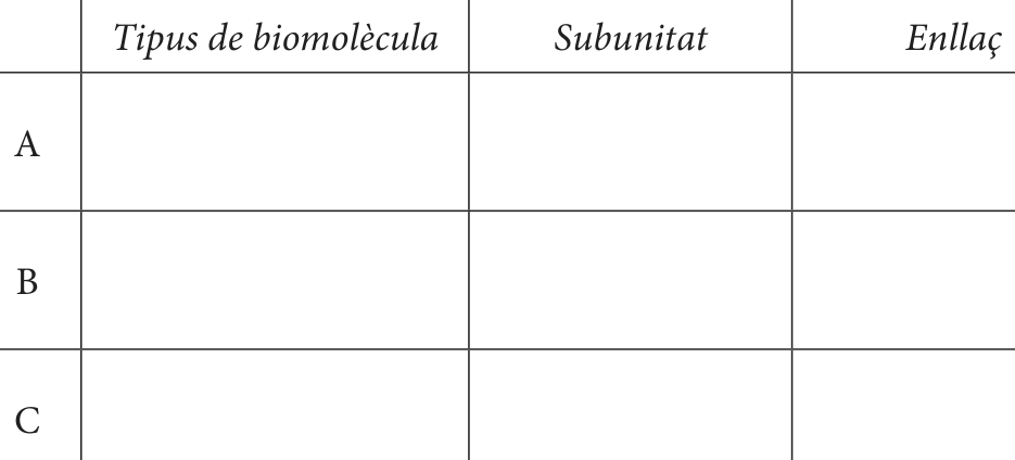 Enunciat · Apartat 3.1, part 2