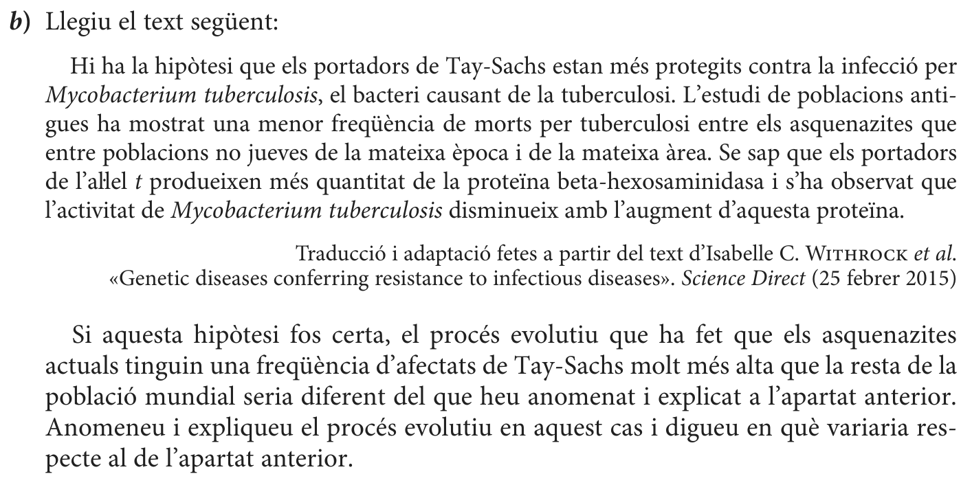 Enunciat · Apartat b), part 1