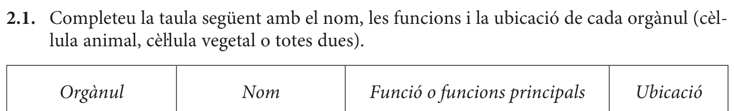 Enunciat · Apartat 2.1, part 1