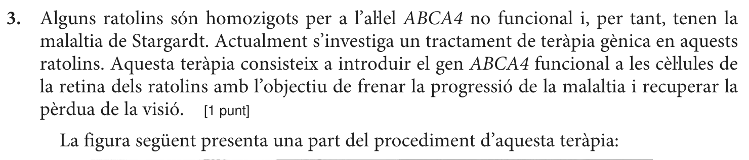Enunciat, part 1