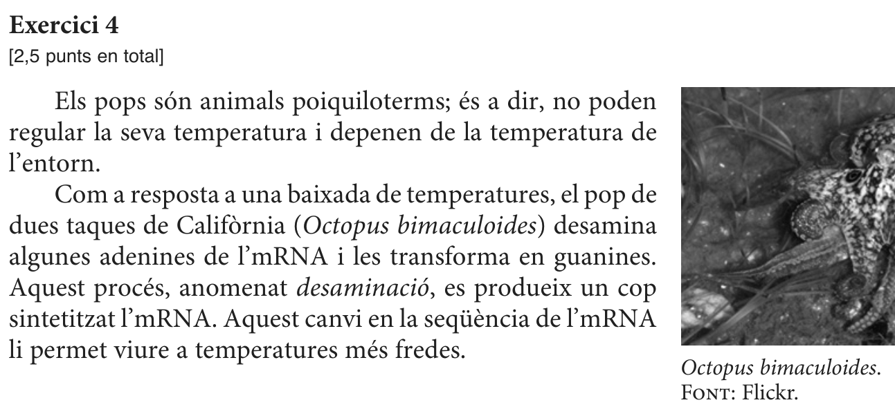 Enunciat, part 1