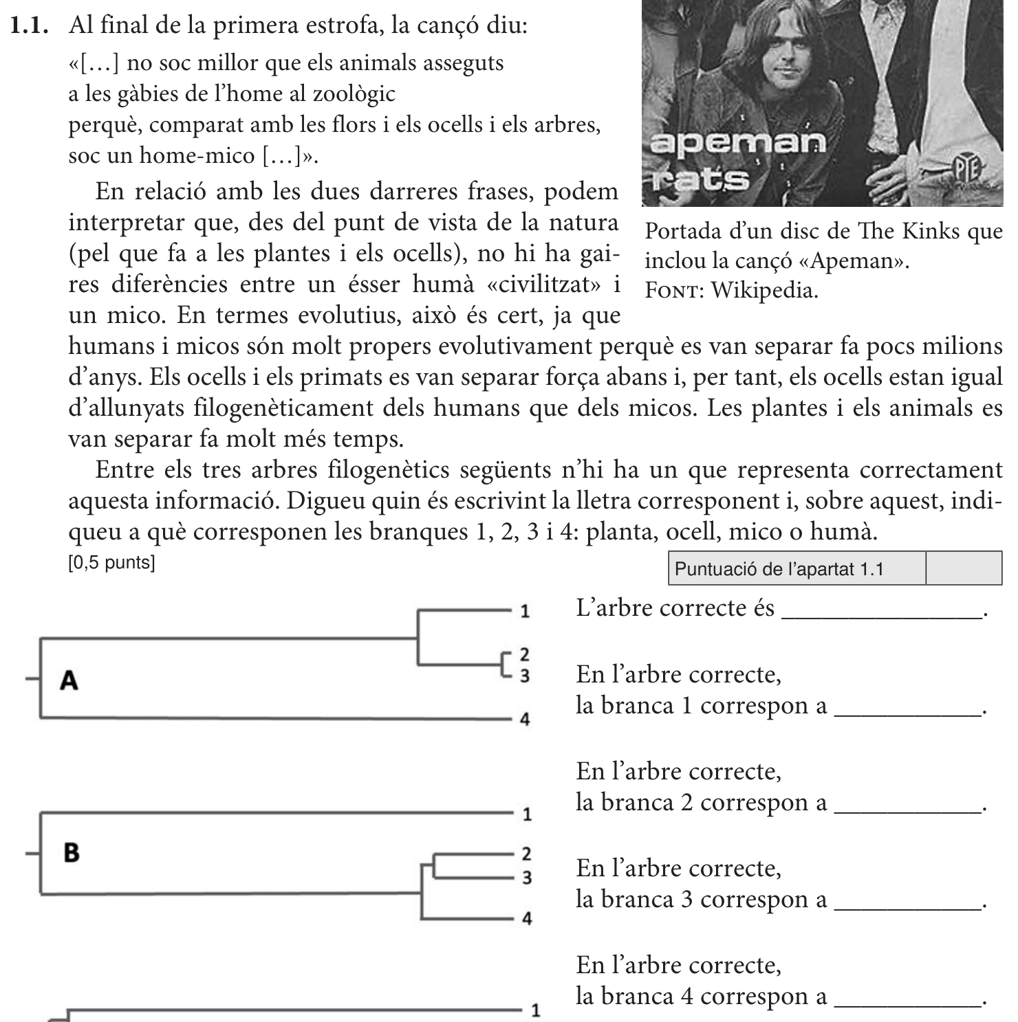 Enunciat · Apartat 1.1, part 1