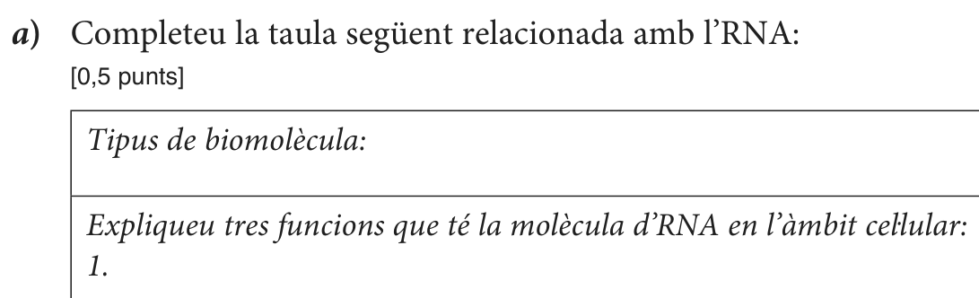 Enunciat, part 2